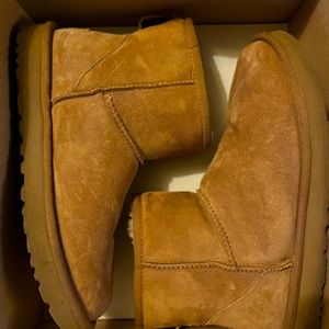 Classic Chestnut Mini ll Ugg